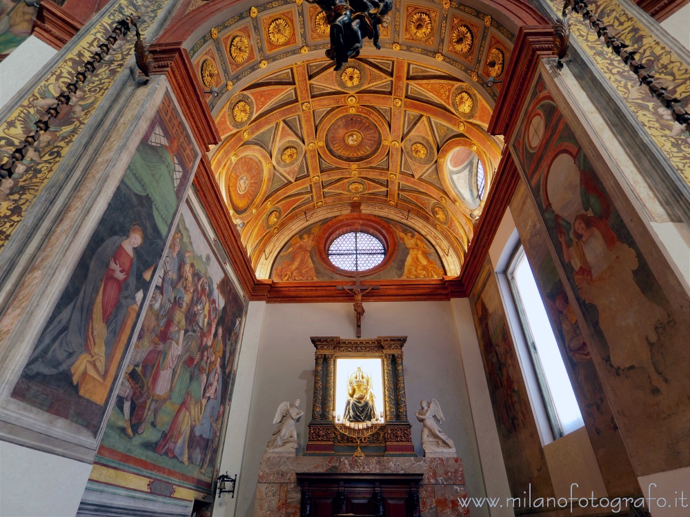 Busto Arsizio (Varese) - Interno dell'abside del Santuario di Santa Maria di Piazza